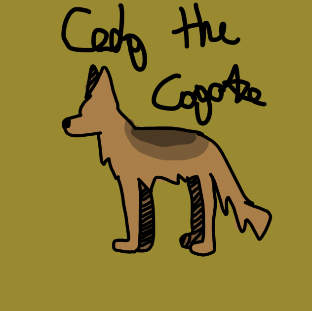 Cody the coyote