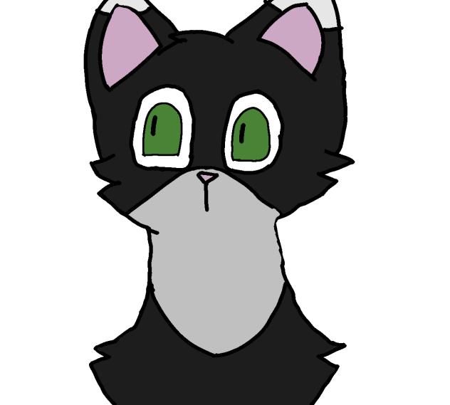 New kitter
