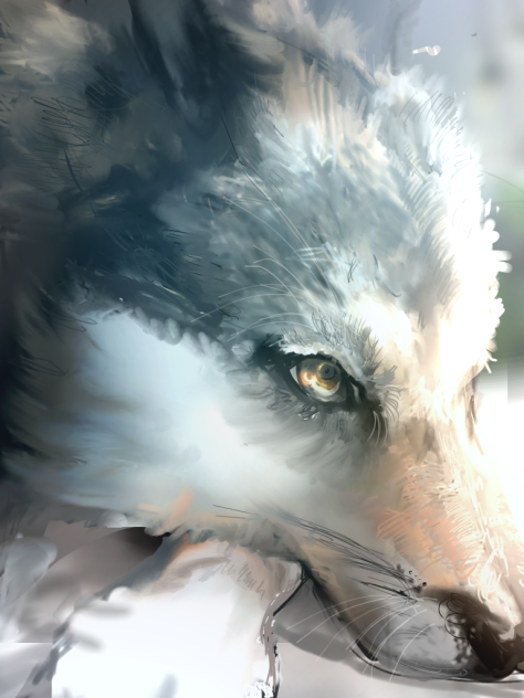 wolf dog