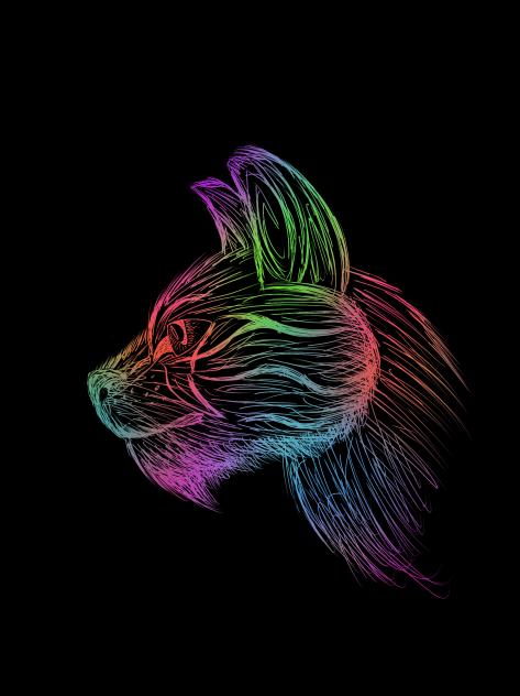 Rainbow Cat
