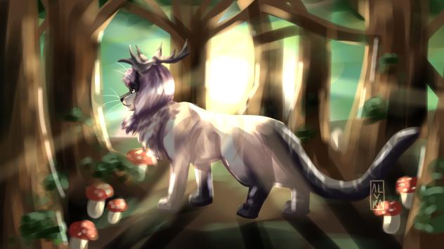 Magic of the morning