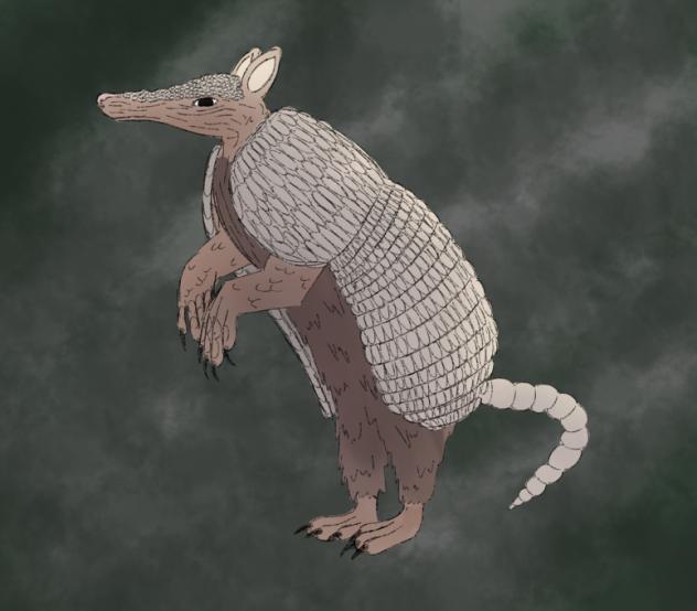 Makeup for Mon; Armadillo