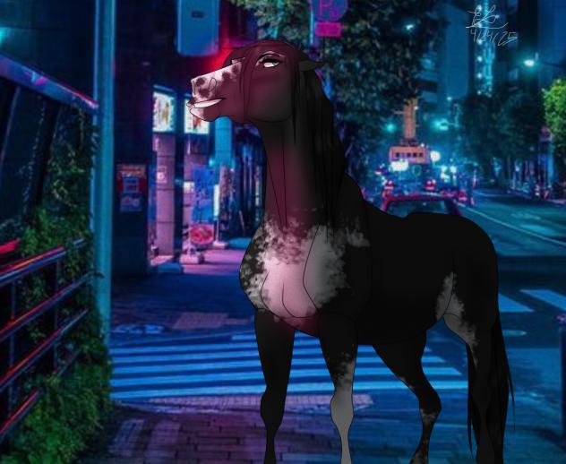 ~ A nightly walk ~