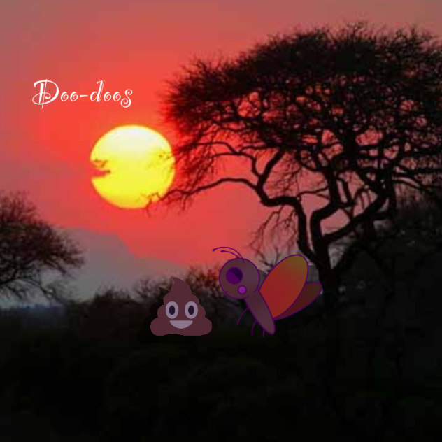 Doo-doos