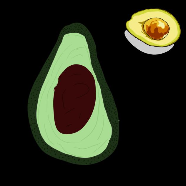 Avocado
