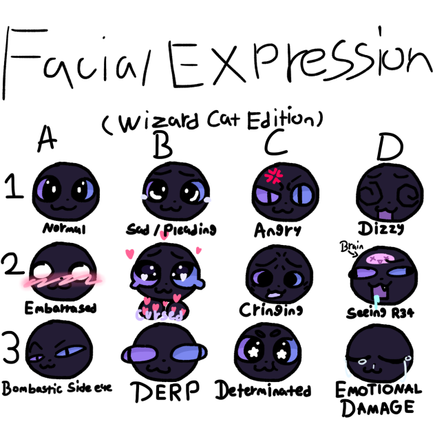 Wizard Cat’s facial expressions!