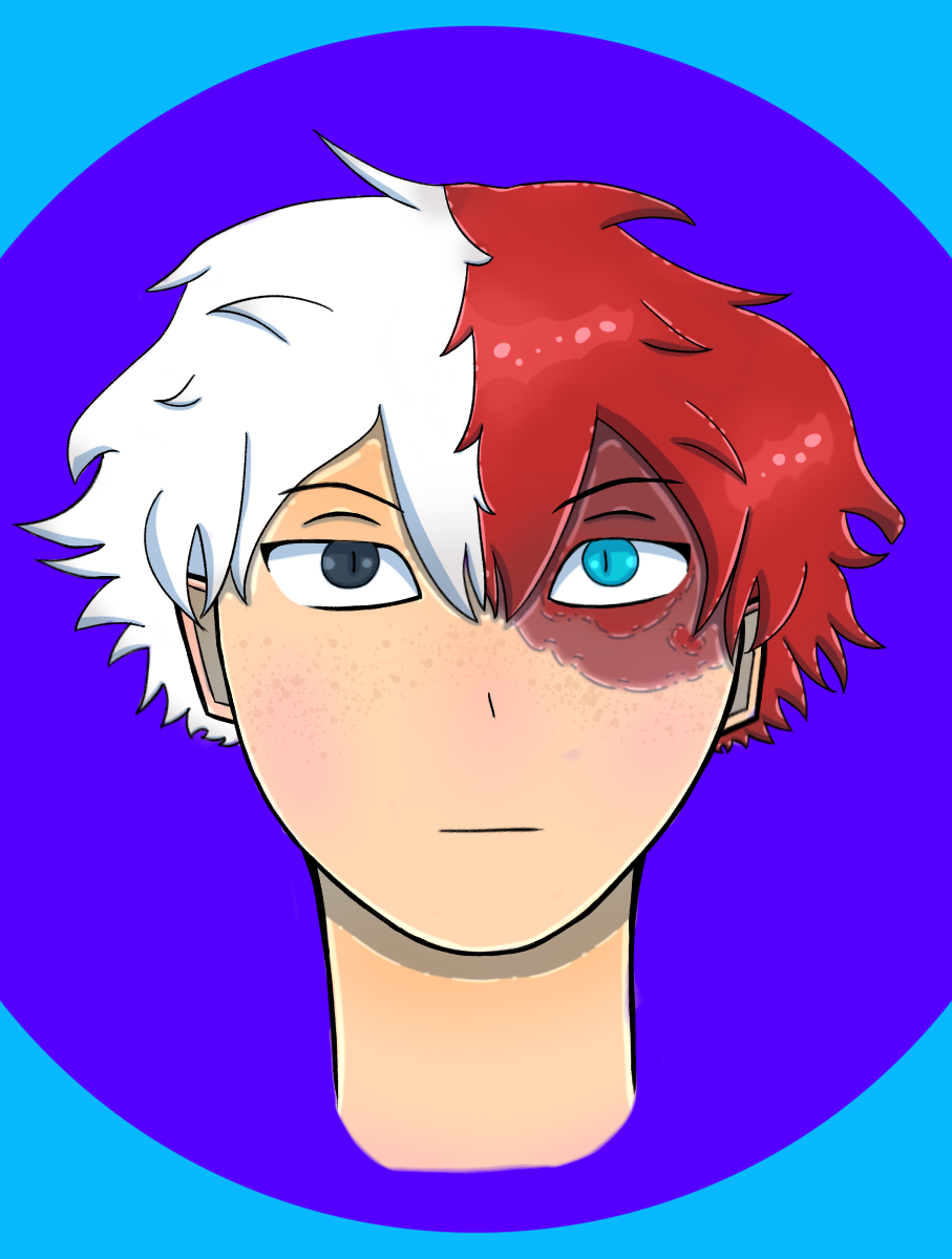 Todoroki ibisPaint
