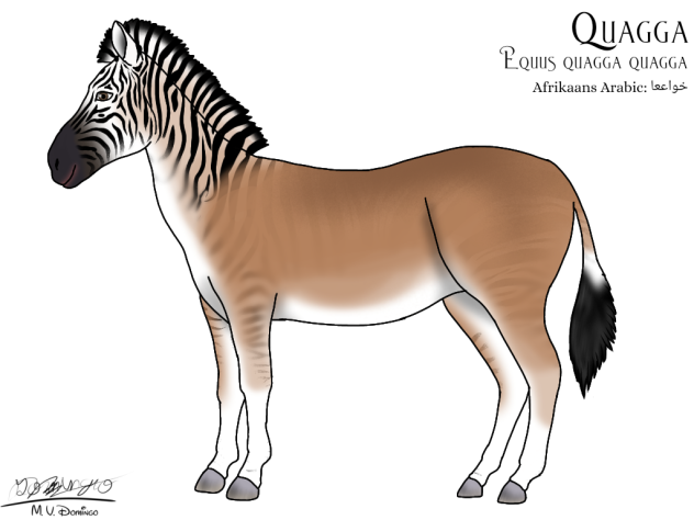 Quagga - ibisPaint