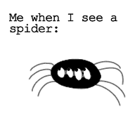 Me when I see a spider