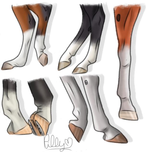 Horse legs #1 sketch and color
