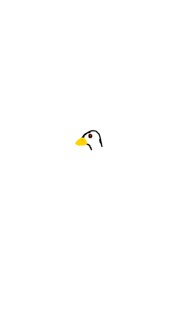 Duck or Goose