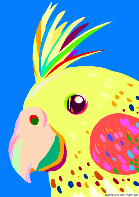 オカメインコのゆきちゃん