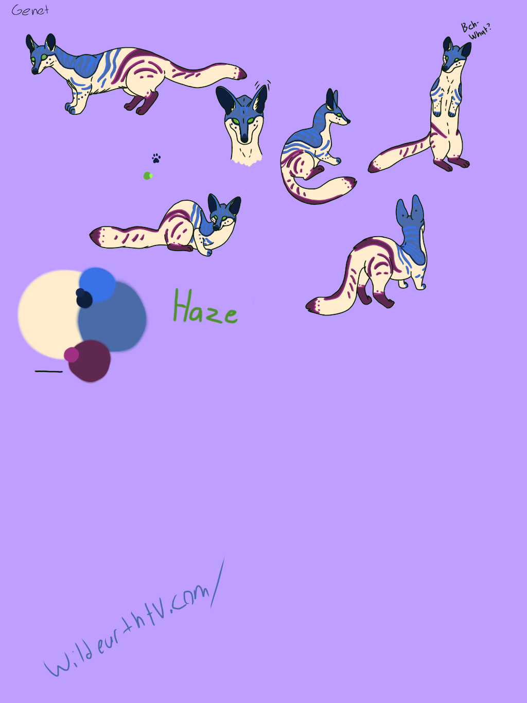 haze updated reference sheet - ibisPaint