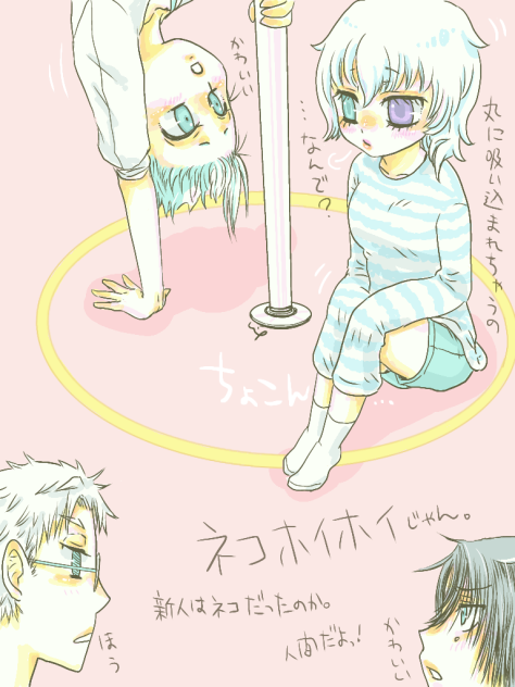 猫ホイホイ