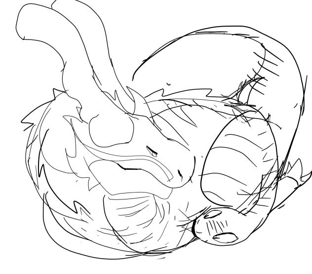 Lil doodle