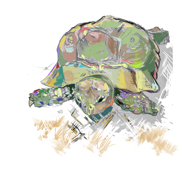 #1 spur study - ibisPaint