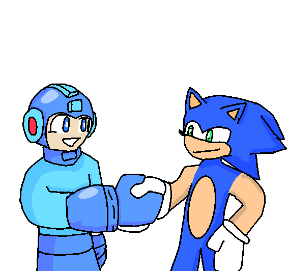mega partner
