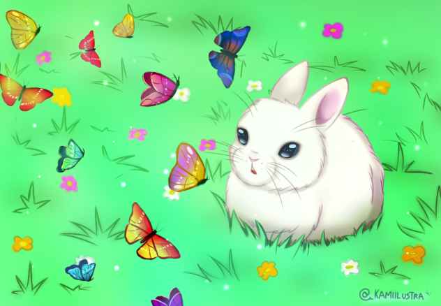 Bunny🐰