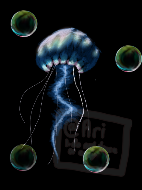 jellyfish