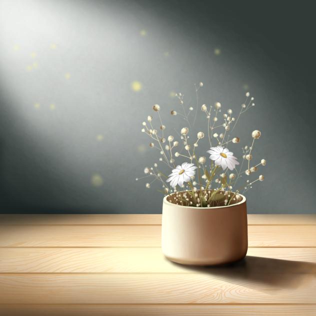 Flower pot with sunlight 1