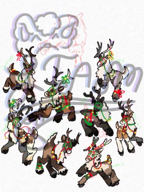 Christmas(Donner +)23