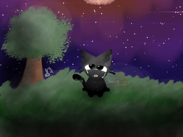 the night sky..