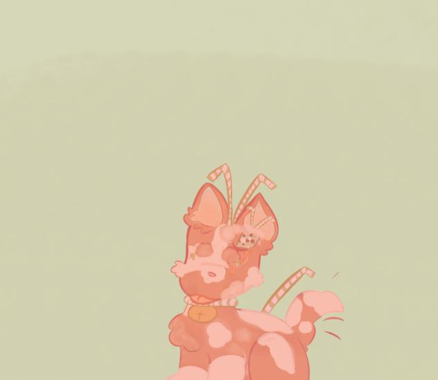 Adopt for Frogmarshmallow!