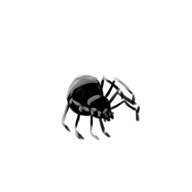 SPIDER - ibisPaint