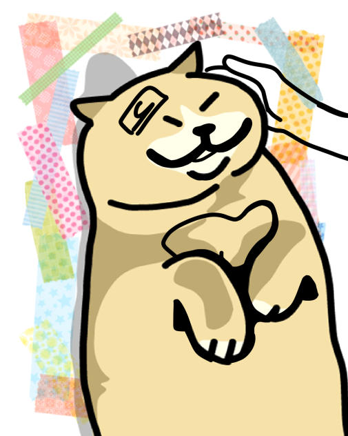 Cat 🐈