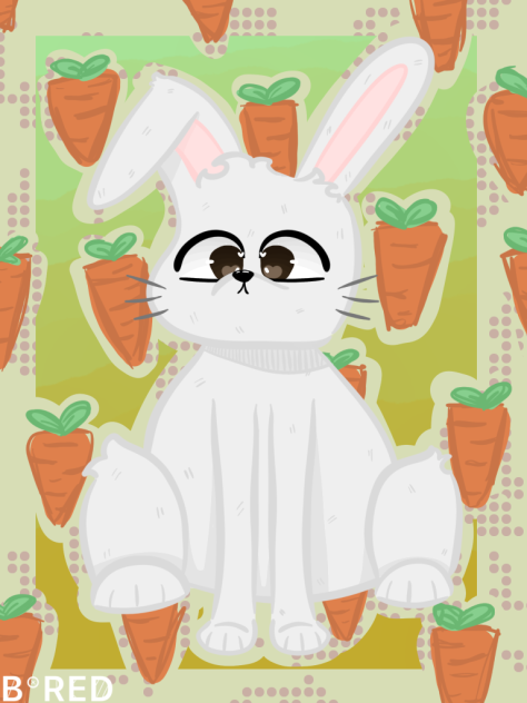 Bunny