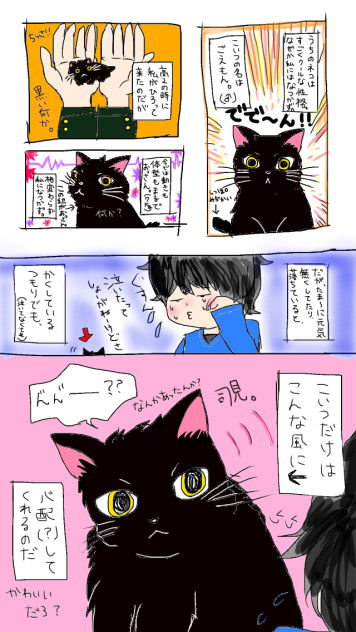 黒猫ごえもん①
