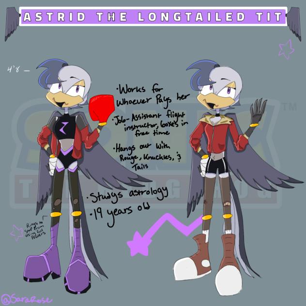 Sonic OC💯💯💯