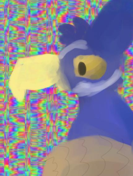 🦚PEACOCK BOY🦚