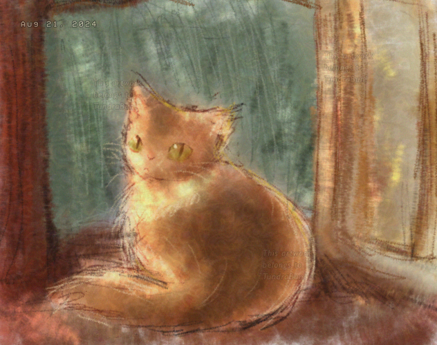 cat for practice