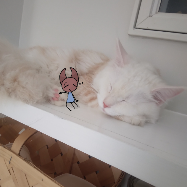 napping