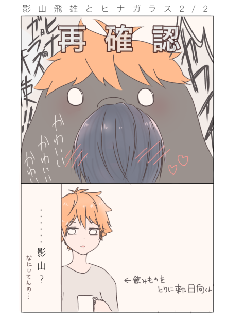 影山飛雄とヒナガラス2ぶんの2