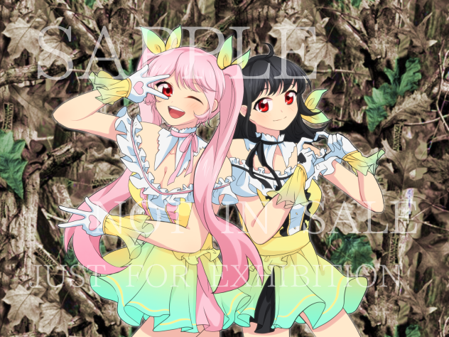 Son Ludo’s duo