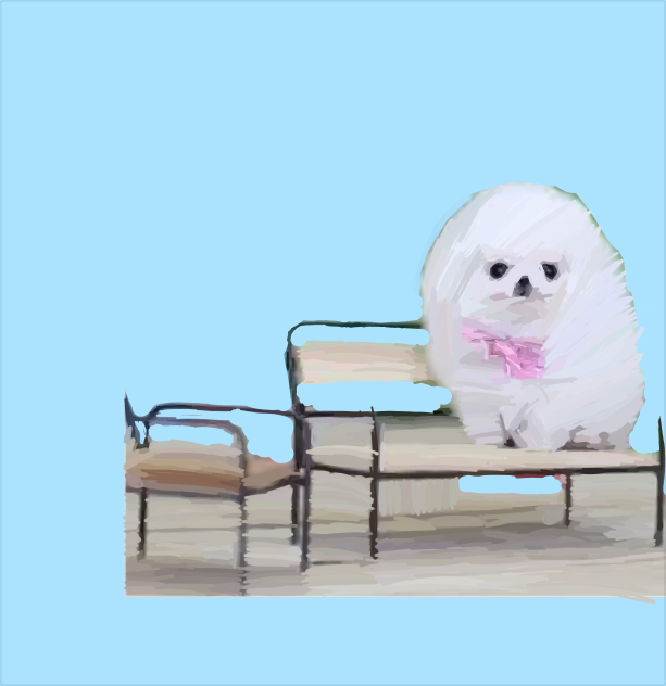 Pom Pom Pomeranian on a Bench