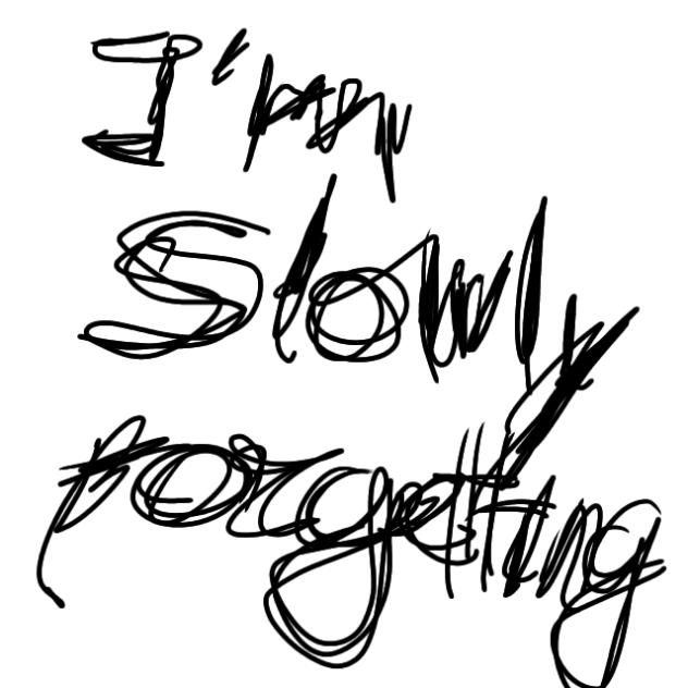 I'm slowly forgetting your face