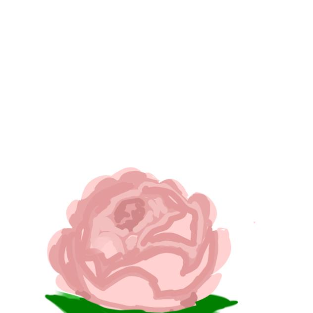 rose - ibisPaint