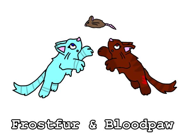 Warrior Cats OCs