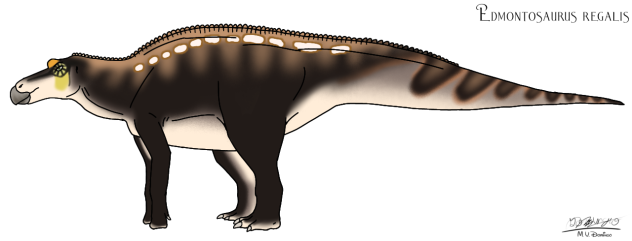 Edmontosaurus regalis