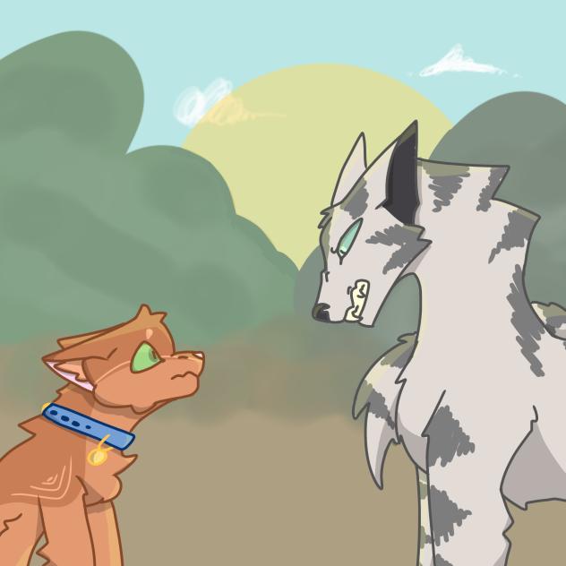 “Look at that collar! He’s a kittypet!”
