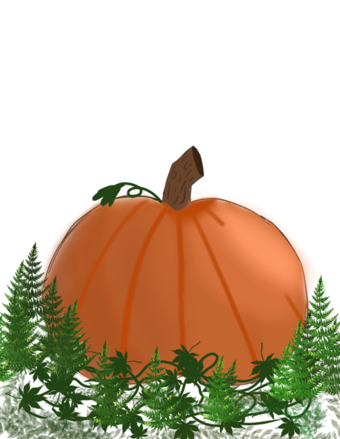 Halloween  pumpkin 🎃🖤