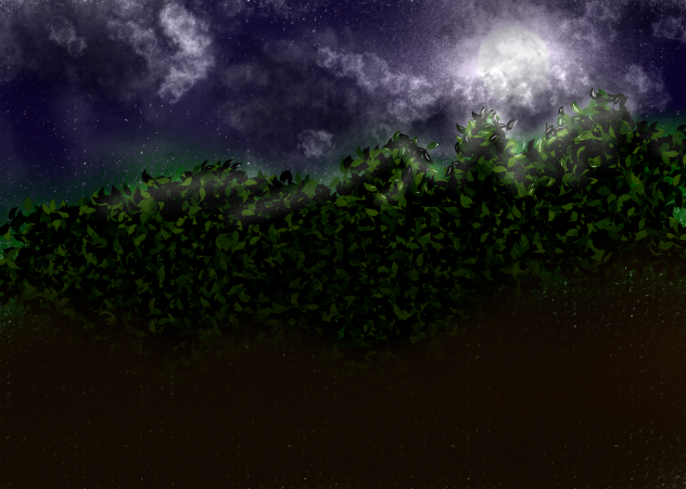Night sky - ibisPaint