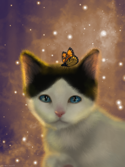 Cat in forest