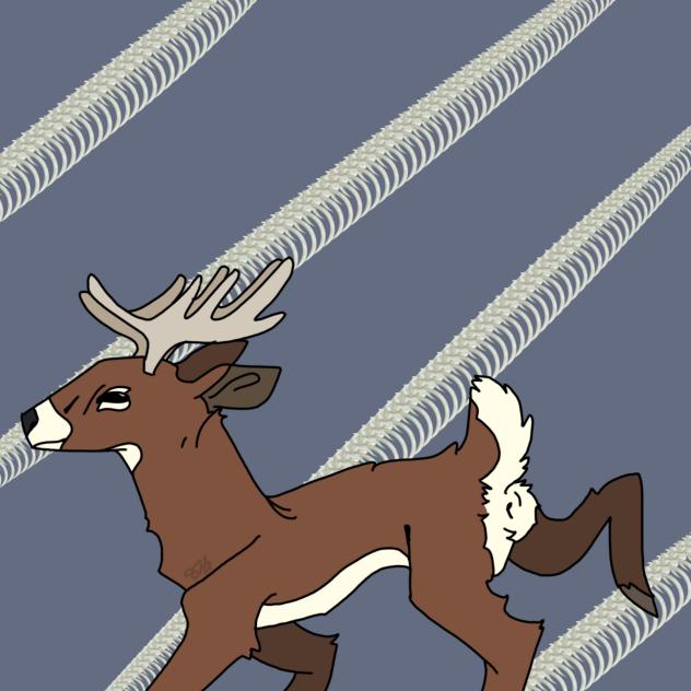 white tailed deer^^