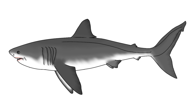 Megalodon revamp render