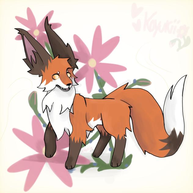 🦊FOX🐾