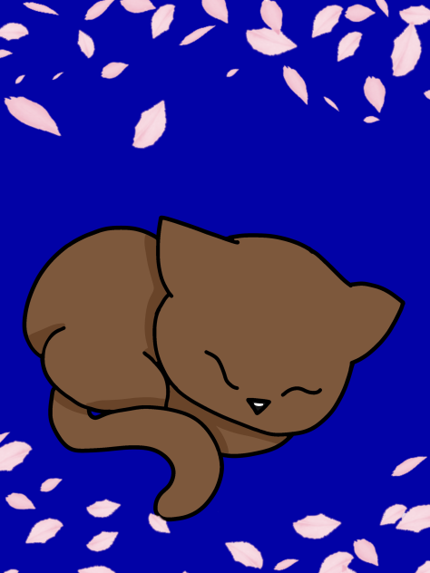 katze 🐱  2